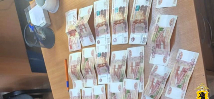 Серия краж в Ярославской области на полмиллиона рублей: задержан подозреваемый