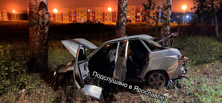 В Ярославском районе водитель врезался в дерево и оставил автомобиль