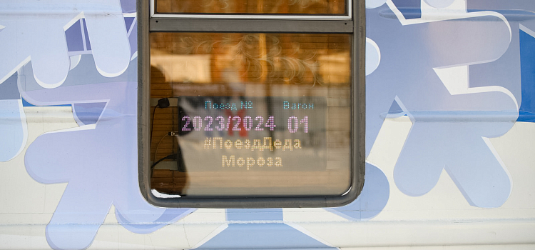 Праздник продолжается: в Ярославле побывал поезд Деда Мороза_261545