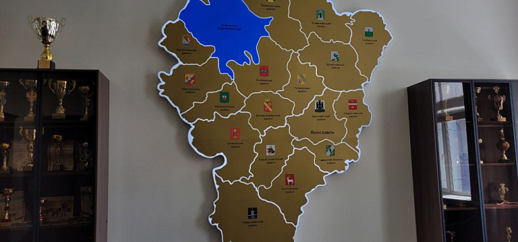 Максимально оперативно узнавать о беспилотной опасности ярославцы смогут в MAX