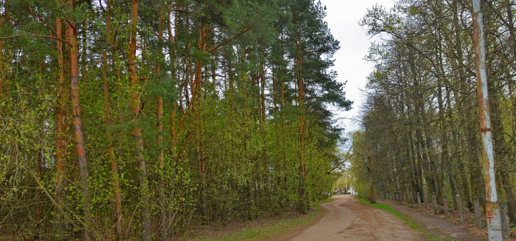 Мэрия Ярославля отказала в высотной застройке в Среднем посёлке