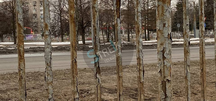 В Ярославле на проспекте Дзержинского заменят забор на разделительной полосе