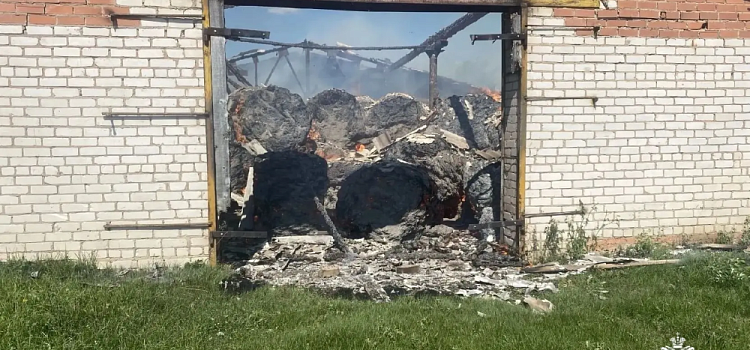 В деревне Ярославской области сгорело заготовленное сено