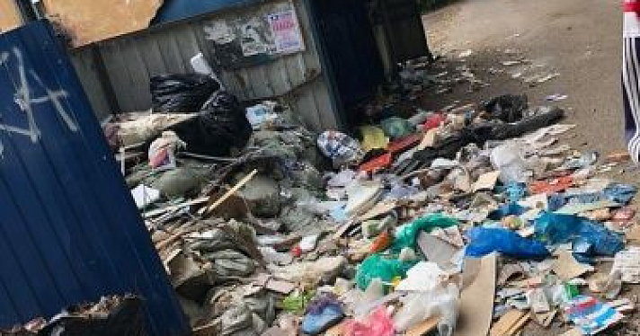 Власти рассказали, кто виноват в мусорных завалах в Ярославле