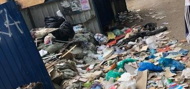 Власти рассказали, кто виноват в мусорных завалах в Ярославле
