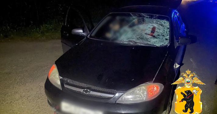 В селе Ярославской области насмерть сбили пенсионера