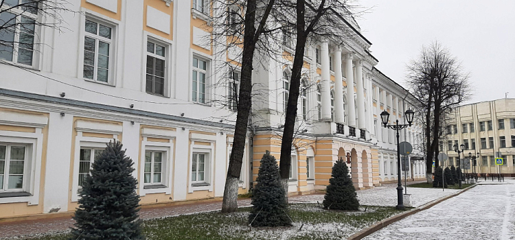 Ярославцы не одобрили посадку голубых елей в непосредственной близости от памятников архитектуры