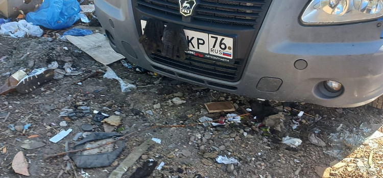 Поспешил сбежать: в Ярославле водителя фургона застали во время незаконного выброса мусора_272589