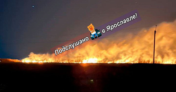 В Ярославской области за сутки горящую траву пришлось тушить 55 раз