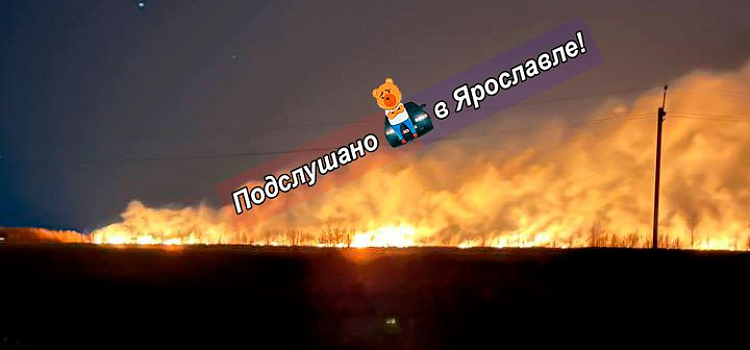 В Ярославской области за сутки горящую траву пришлось тушить 55 раз