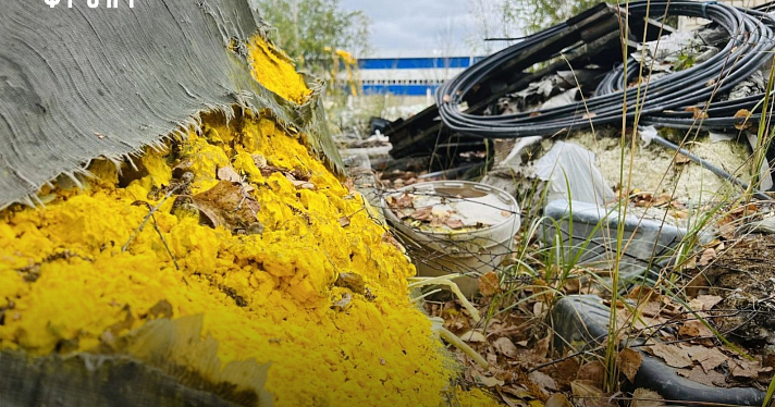 «Масштабы экологического ущерба сложно представить»: под Ярославлем обнаружили свалку токсичных отходов_220744