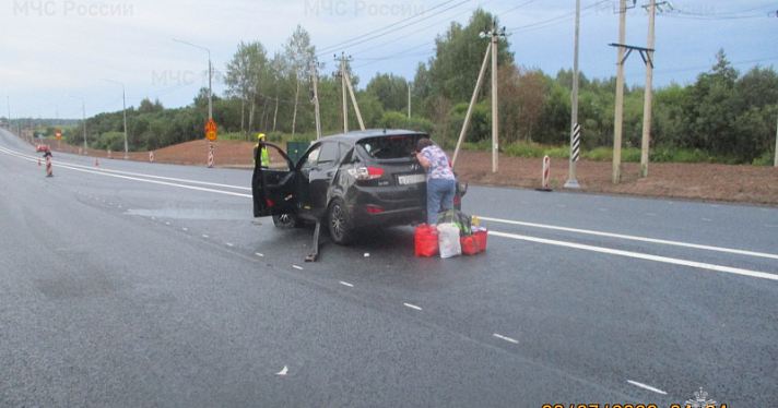 Могло ослепить: в Ярославской области автомобиль перевернулся после наезда на тушу лося