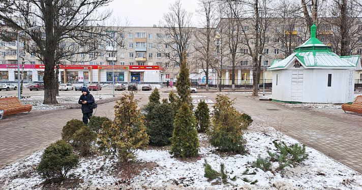 В ярославском парке Победы создадут живую изгородь