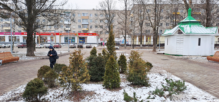В ярославском парке Победы создадут живую изгородь
