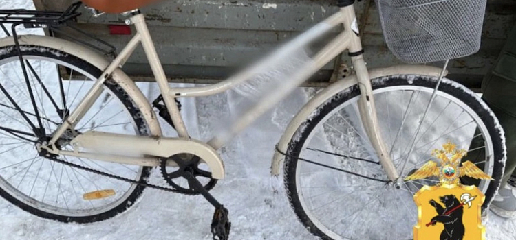 В Ярославской области полиция задержала подозреваемого в краже велосипедов