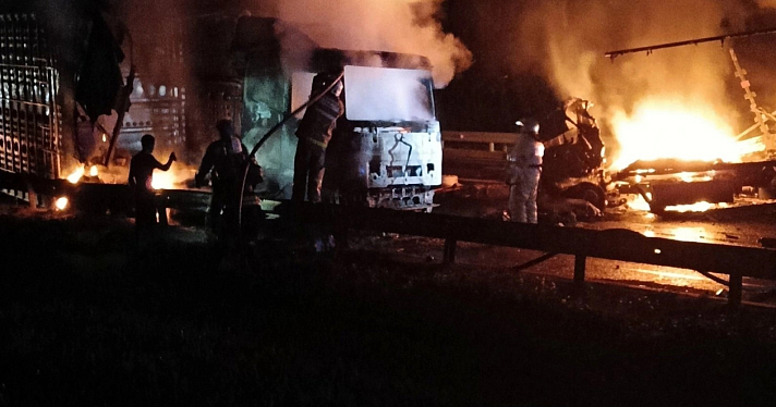 В Ярославской области на М-8 после столкновения с лосем сгорели два грузовика_249888