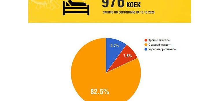 В Ярославской области 7,8% пациентов с коронавирусом находятся в крайне тяжелом состоянии. Диаграмма