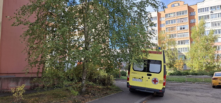 Два человека пострадали при пожаре в высотке в Дзержинском районе Ярославля_304574