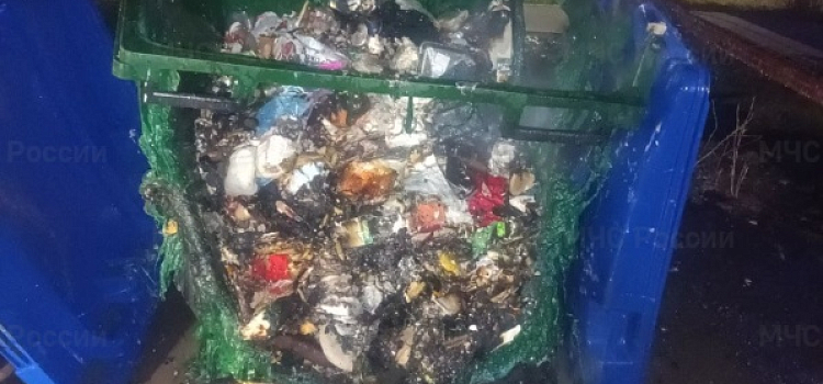 В Ярославле ночью сгорели семь мусорных контейнеров_269729