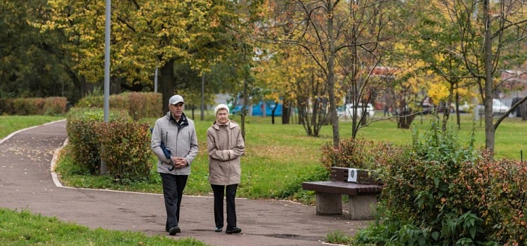За сутки ярославские пенсионеры передали мошенникам более миллиона рублей