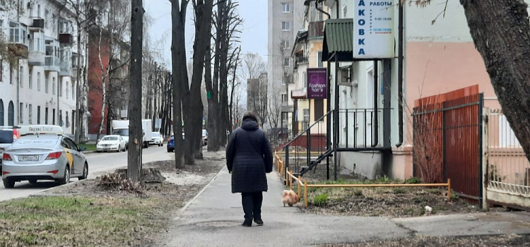 15 миллионов рублей! В Ярославле планируют благоустроить площадки для выгула собак