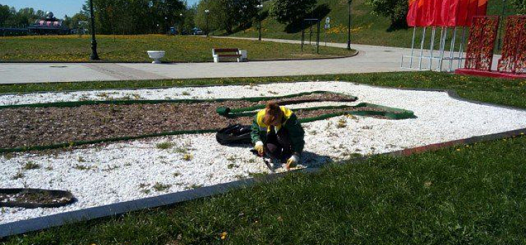 Этим летом в Ярославле посадят девятьсот тысяч цветов 