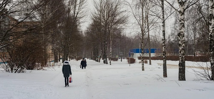 Оранжевый уровень опасности: ярославцев предупреждают об аномальном похолодании