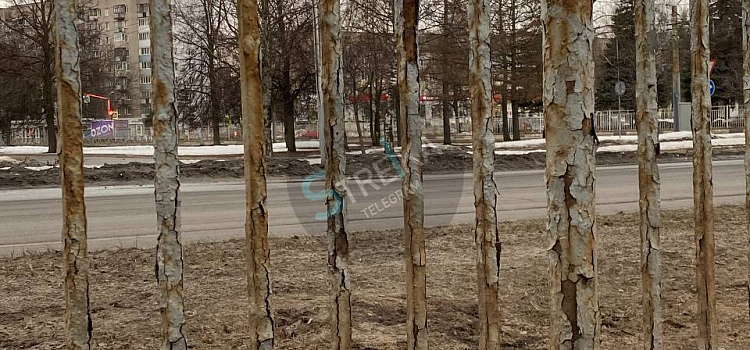 В Ярославле на двух крупных проспектах заменят заборы