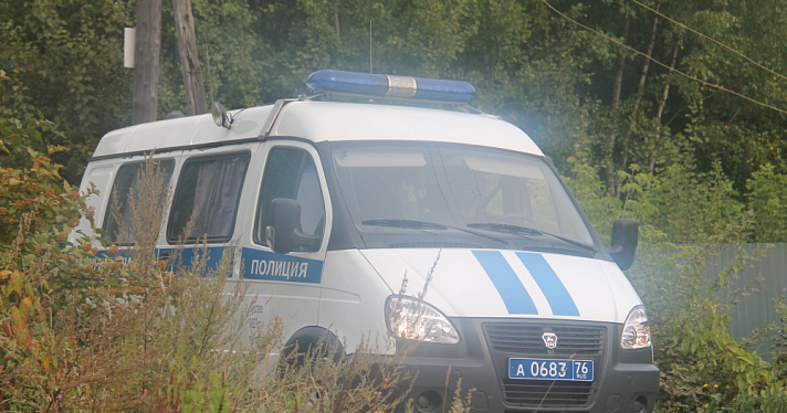 В Дзержинском районе Ярославля во дворе мужчина угрожал женщине кровавой расправой