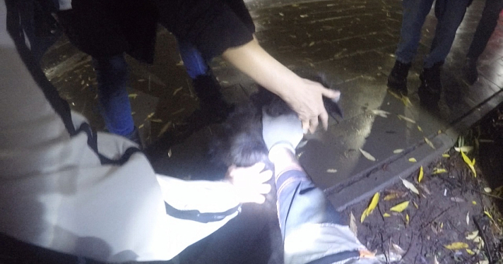 Ярославские спасатели вытащили собаку из люка_222369