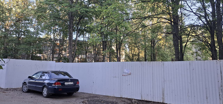 В Дзержинском районе Ярославля начинают большую стройку на месте зелёной зоны_305010