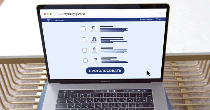 В Ярославской области стартовало дистанционное электронное голосование на выборах