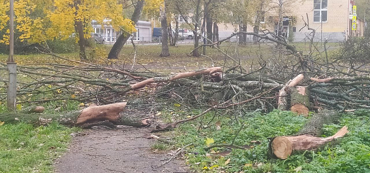 Разворотили и бросили: в Ярославле расторгают контракт с нерадивым подрядчиком_255178