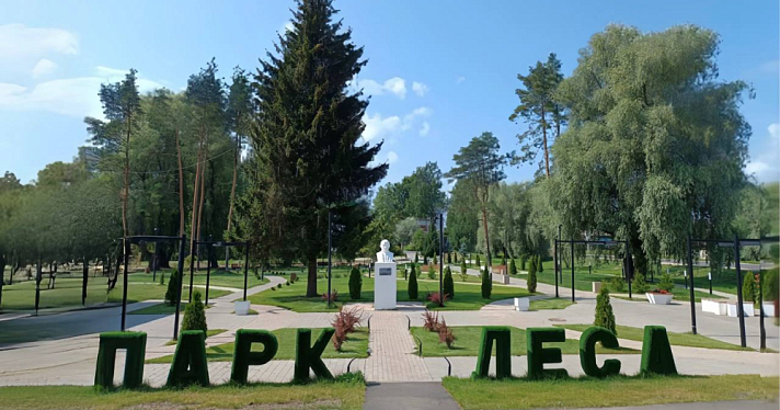 В посёлке Пречистое Ярославской области создают современный парк