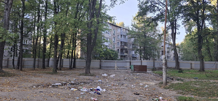 В Дзержинском районе Ярославля начинают большую стройку на месте зелёной зоны_305008