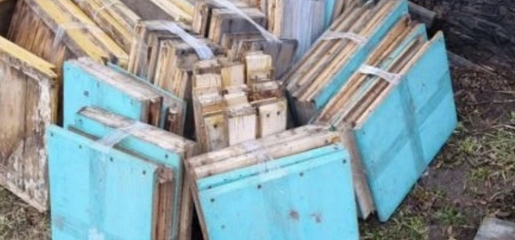 В Ярославской области раскрыта кража десяти пчелиных ульев_314470