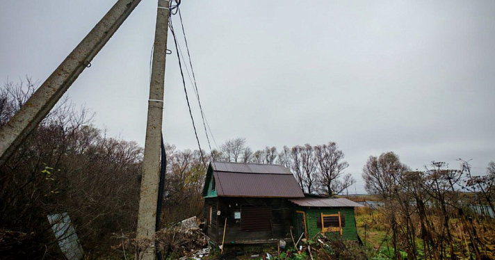 Ущерб более восьми миллионов: в СНТ под Ярославлем нашли майнинговую ферму