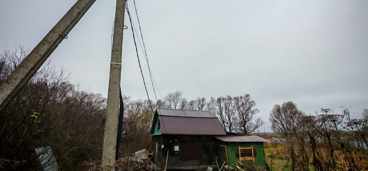 Ущерб более восьми миллионов: в СНТ под Ярославлем нашли майнинговую ферму