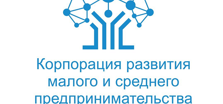 В Ярославской области особое значение уделят развитию женского предпринимательства_169269