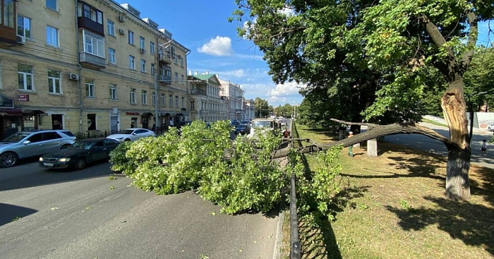 Упавшее дерево перегородило центральную улицу Ярославля