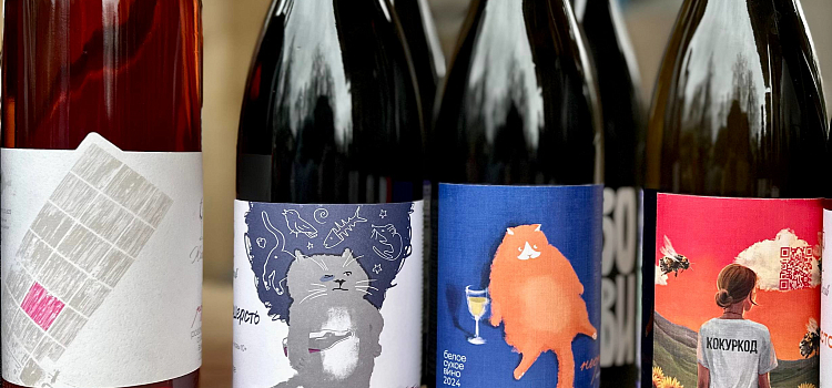 В Ярославле стартовал фестиваль российских виноделов_315142