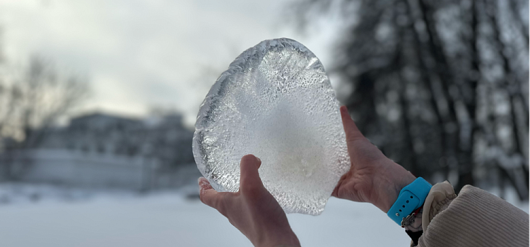 «Мы создаём то, чего там нет, из того, что там есть». Большой разговор о ленд-арте с сотрудницей ЯХМ