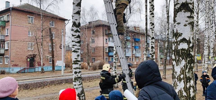 Ярославские пожарные вместе с детьми повесили скворечники в городском парке_294151
