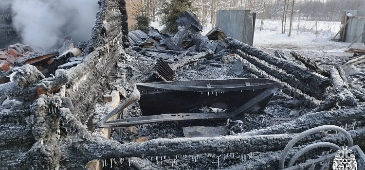 В деревне Ярославской области при пожаре пострадала пенсионерка_310403