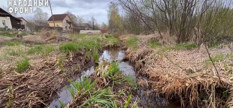Предоставление ярославне участка на болоте проверят следователи