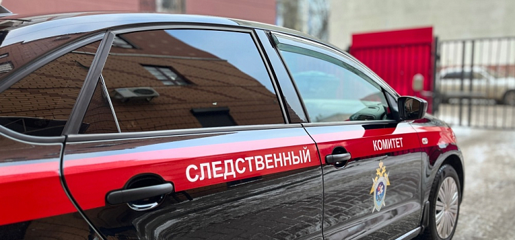 Била по голове: в Ярославской области конфликт между собутыльниками закончился трагедией