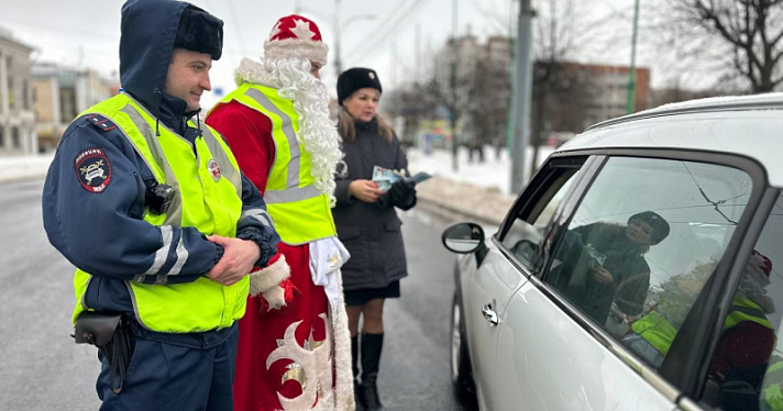 В центре Ярославля на дорогу вышел необычный патруль