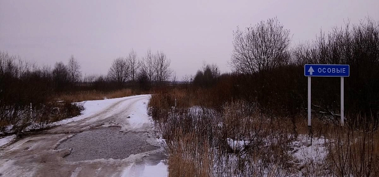 «Можно вместе с вездеходом провалиться»: под Ярославлем размывает дорогу до деревни_226222