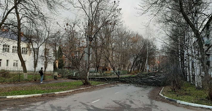 Из-за шквалистого ветра в Дзержинском районе Ярославля отключался свет и были перебои с водой и теплом