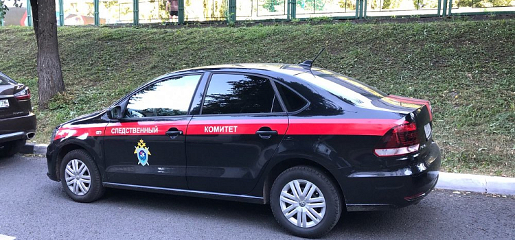 Ярославца обвиняют в убийстве матери